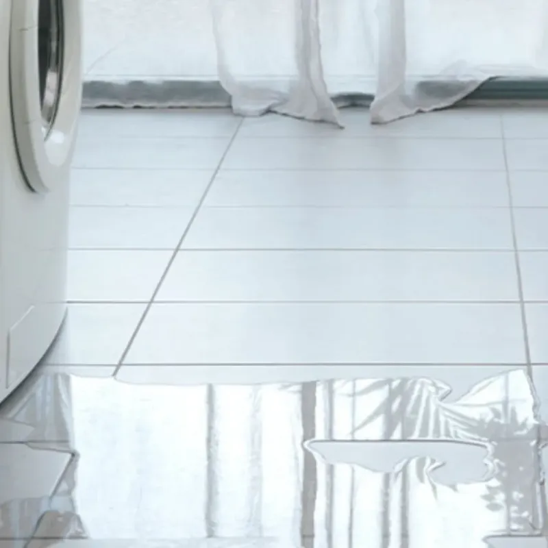 Appliance Leak Cleanup in King and Queen County, VA