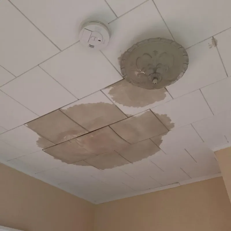 Ceiling Water Damage Repair in King and Queen County, VA