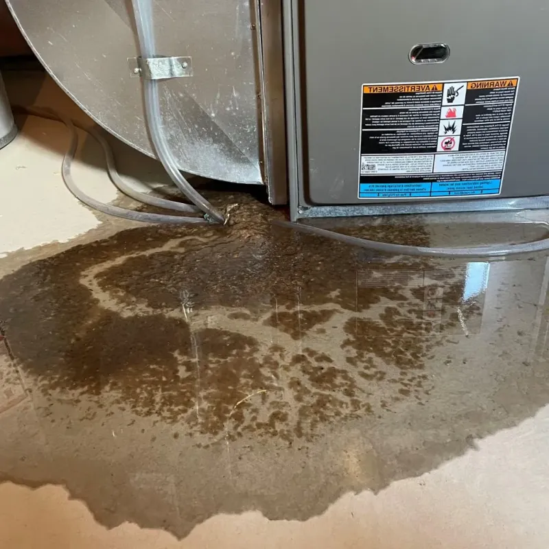 Pipe Burst and Leak Restoration in King and Queen County, VA