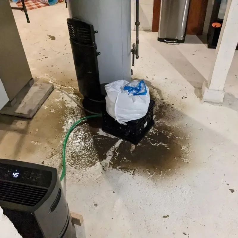 Sewage Backup Cleanup Service in King and Queen County, VA
